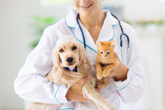 vet-compounding-top-5