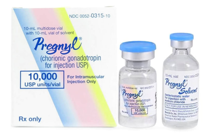 hcg